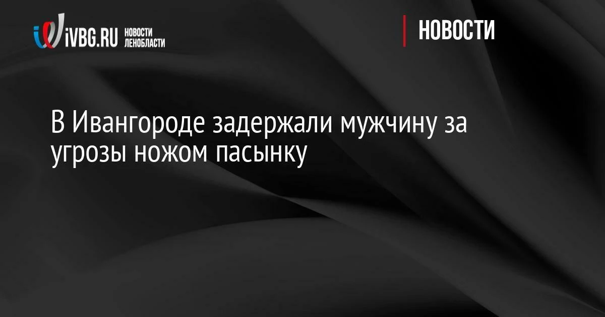 В Ивангороде задержали мужчину за угрозы ножом пасынку