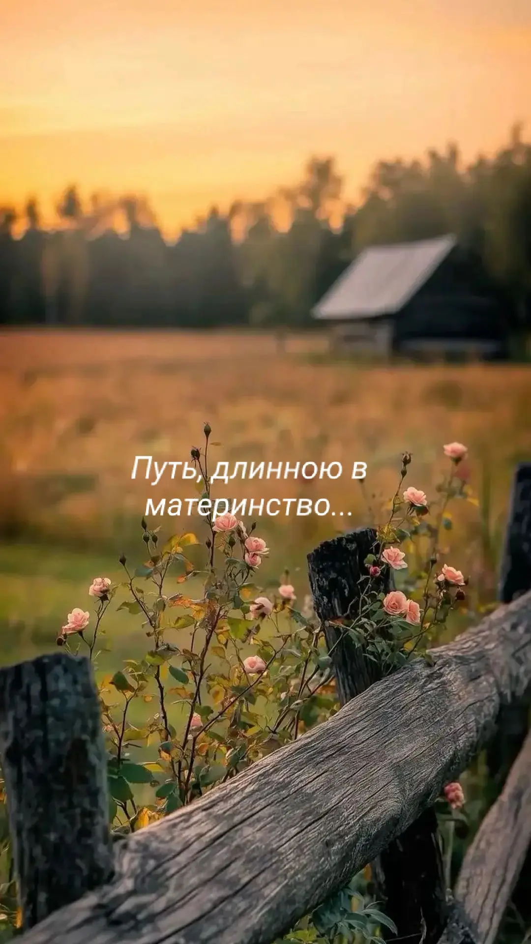 ❤ ДАВАЙТЕ ОТКРОВЕННО...