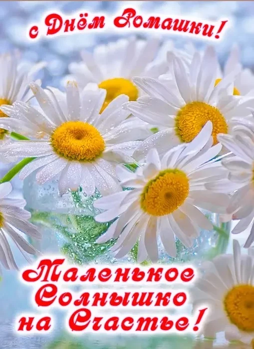 ☀️Солнечные веночки: как мы отмечали День ромашки
☀️☀️☀️
Сегодня в детском саду царило настоящее лет