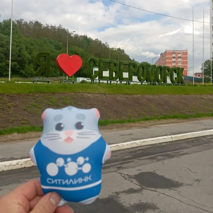 «Ситилинк» подключил первых Клиентов в Североморске 🔥