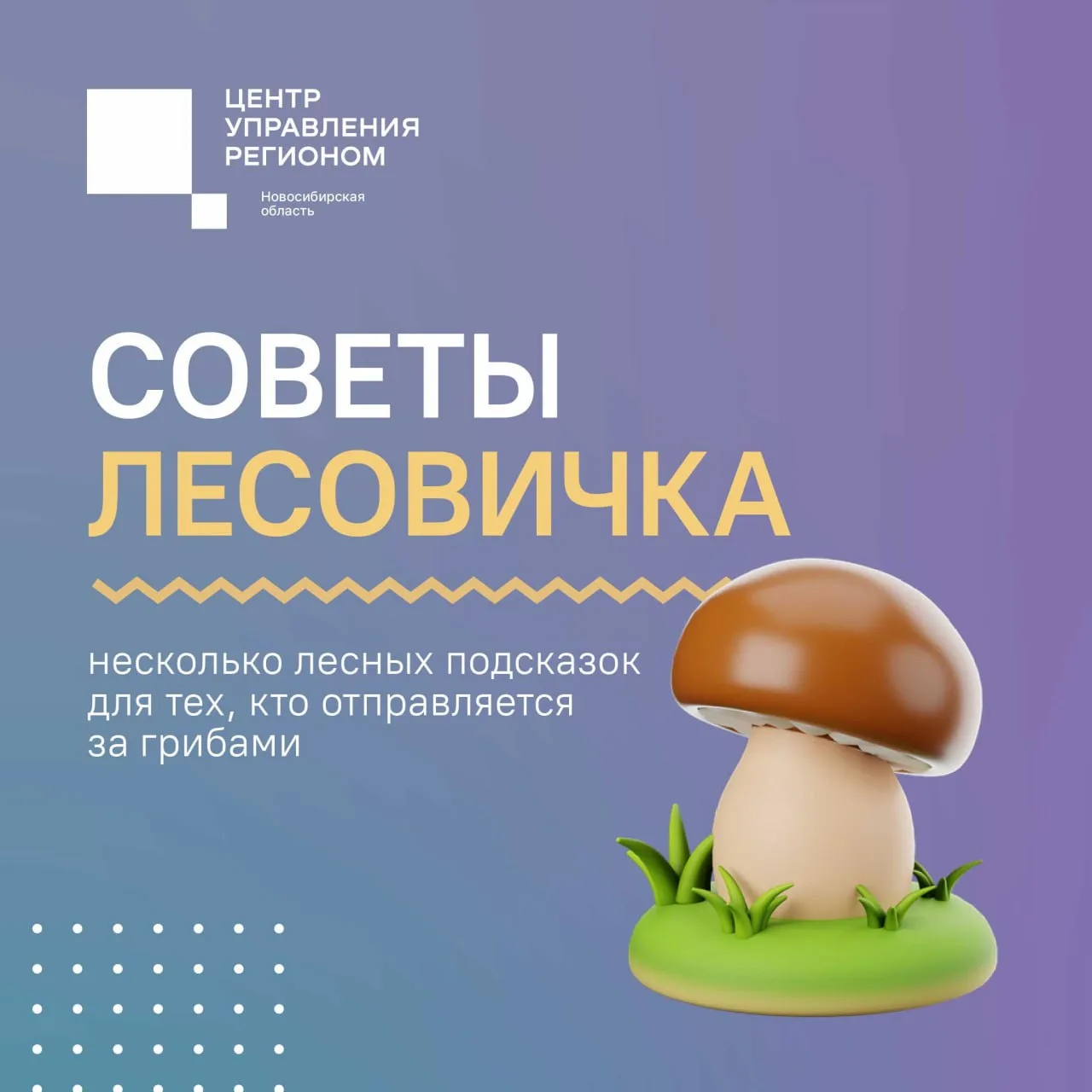 🍄 Лес любит внимательных гостей