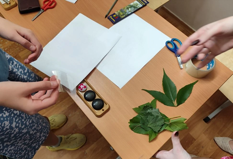 🌿БИОНИКУМЫ. ОСНОВЫ БИОИНДИКАЦИИ