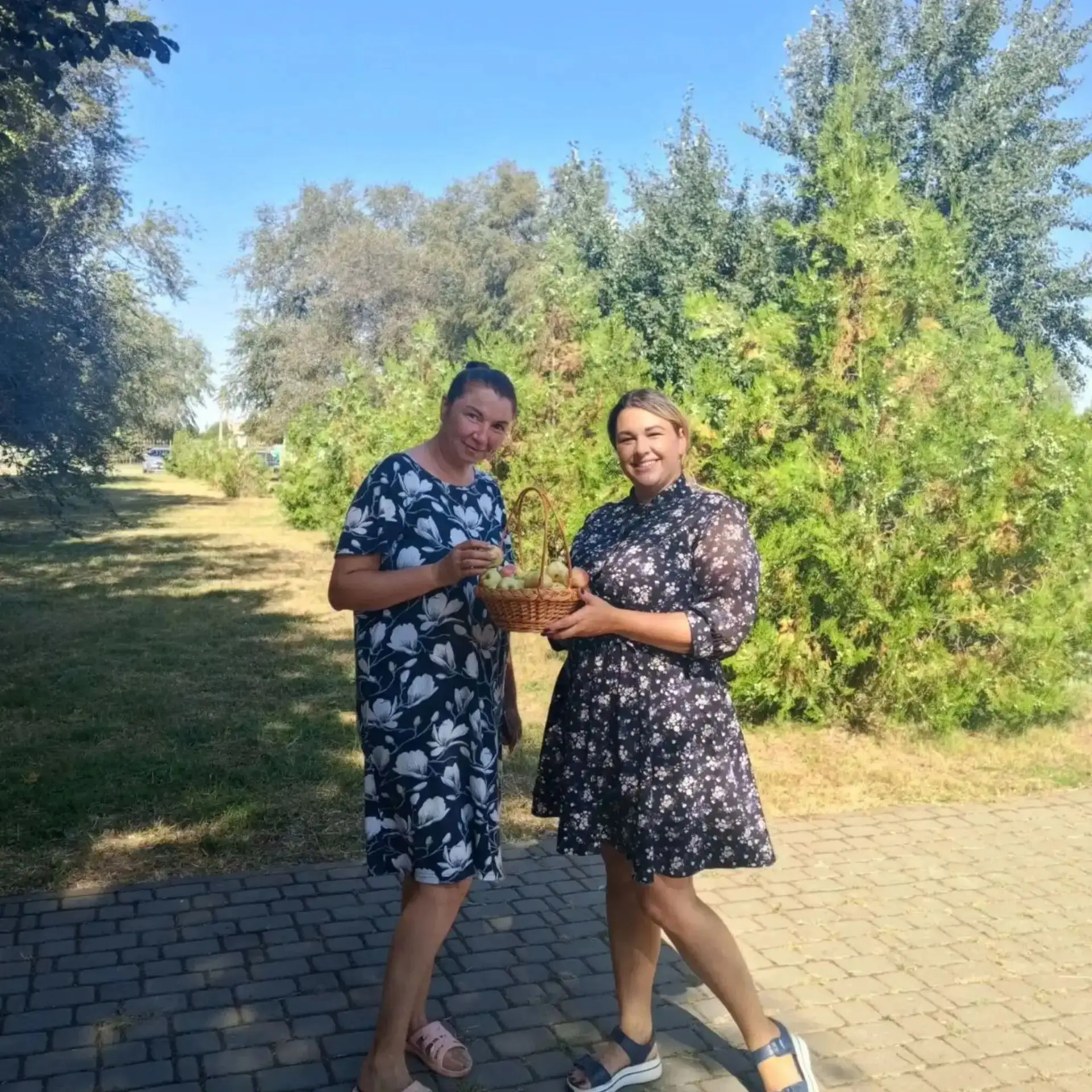 Общественная акция "Яблочный спас: день с ароматом яблок"
