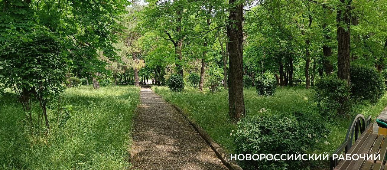 Жителей Новороссийска второй раз позвали проектировать Октябрьскую площадь

Новороссийцев вновь приг
