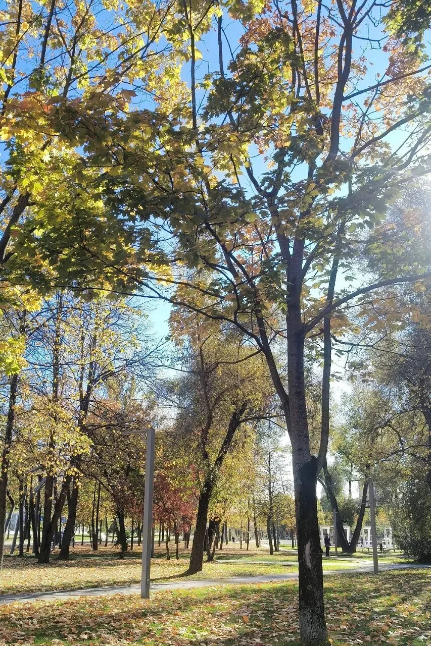 🍂Золотая осень разыгралась по полной на Инженерной!