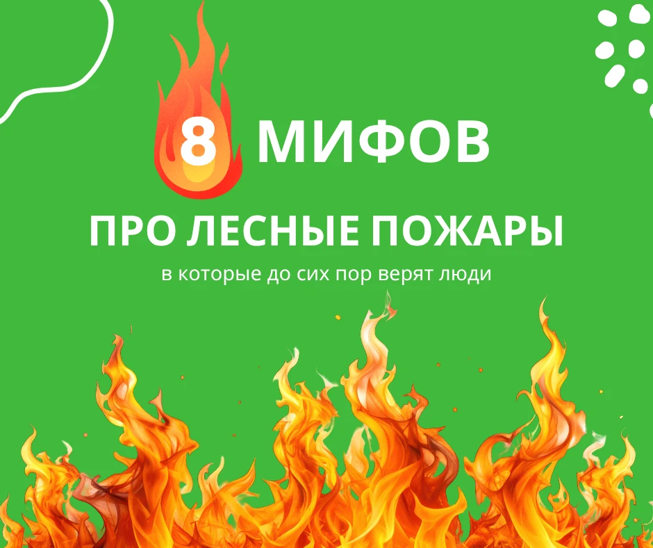 Лесные пожары. Что могу сделать я?

Часто кажется, что лесной пожар – это стихийное бедствие, на кот