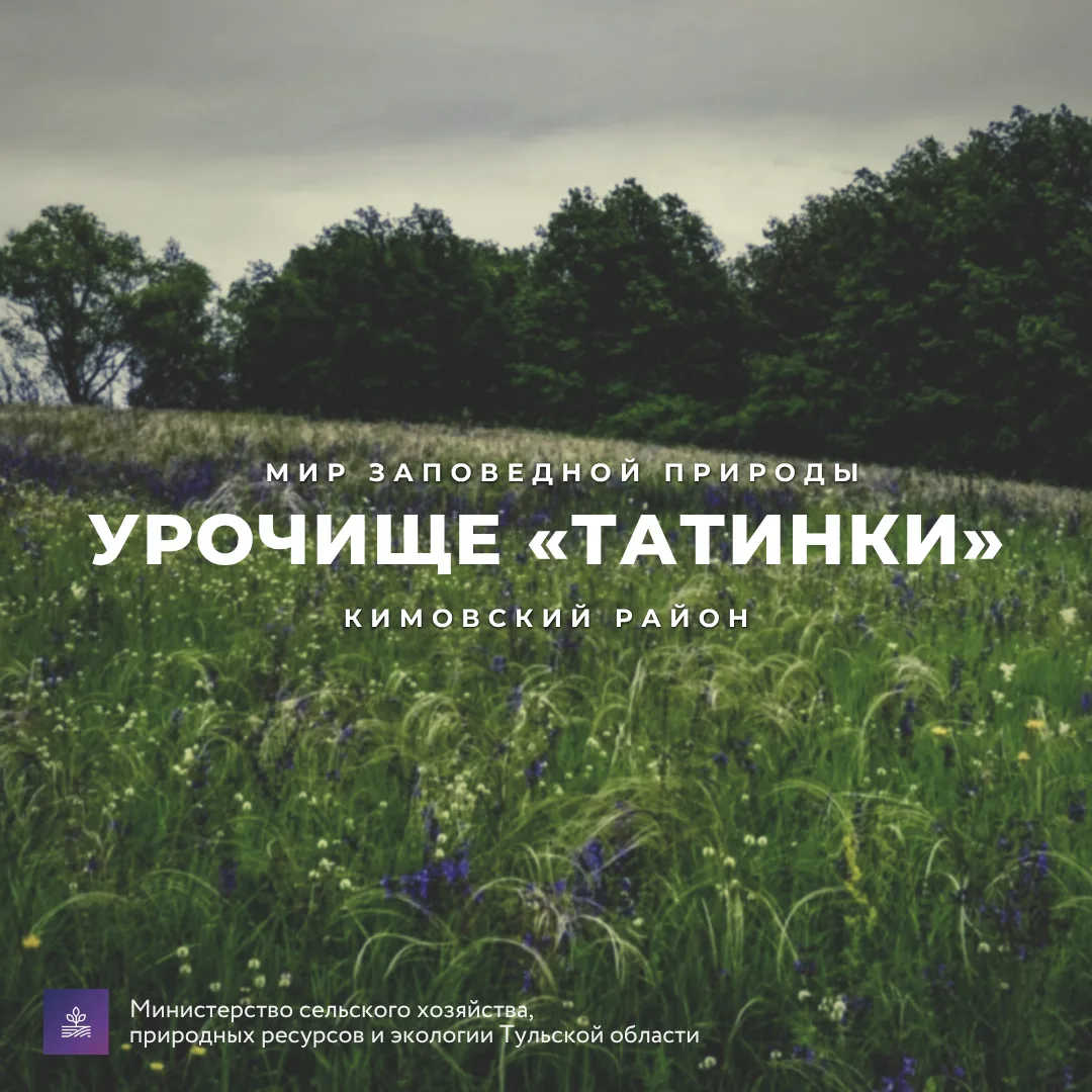 #Красотародногокрая