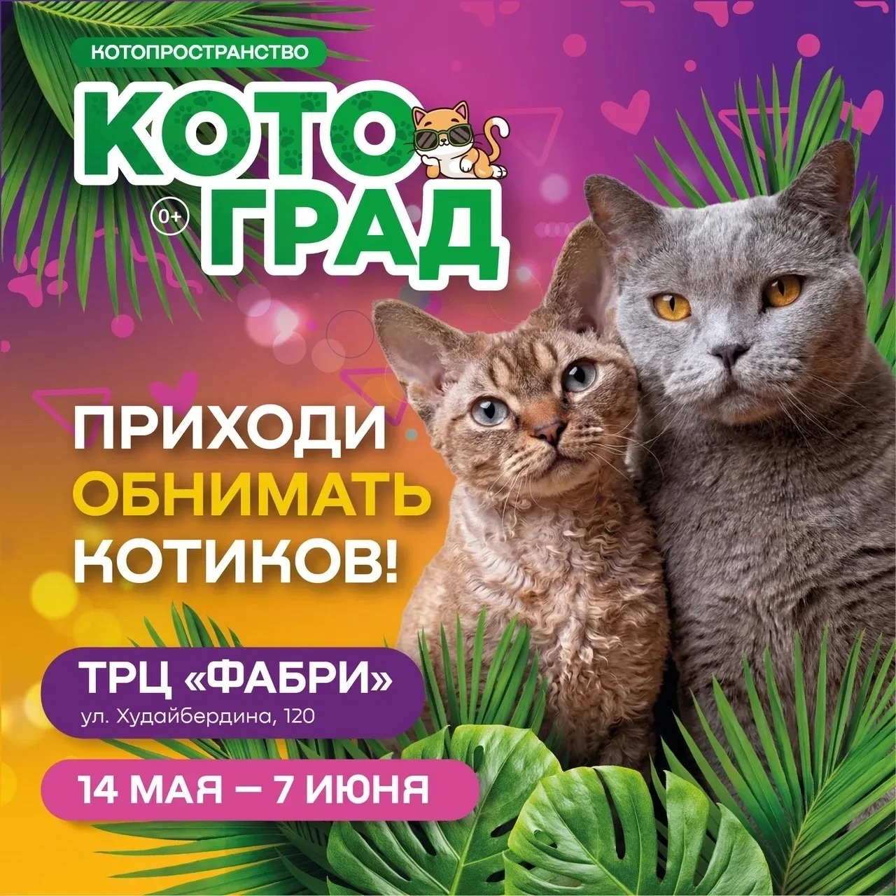 Куда завтра сходить в Стерлитамаке (16 мая 2026)  Что: Цирк "Максимус" Шоу Дика Чипперфилда Где: Пар