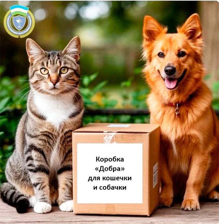 🐈🐕Республиканың дәүләт ветеринария хеҙмәте приюттарҙағы хайуандарға гуманитар ярҙам й...