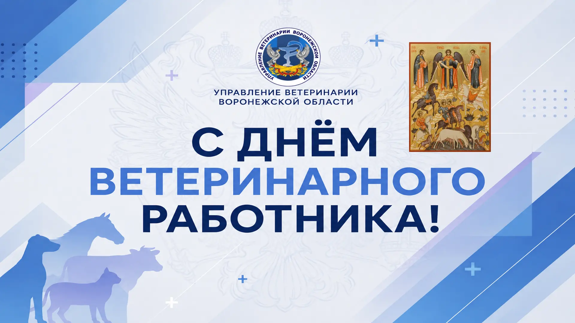 Уважаемые коллеги!