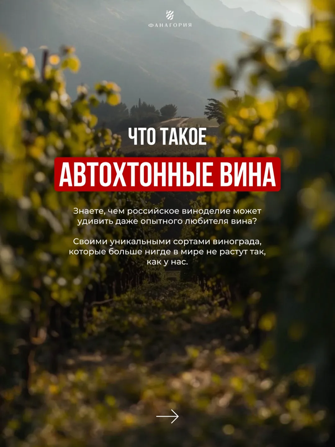 🍷 Мир вина гораздо интереснее, чем кажется на первый взгляд.

Помимо известных международных сортов
