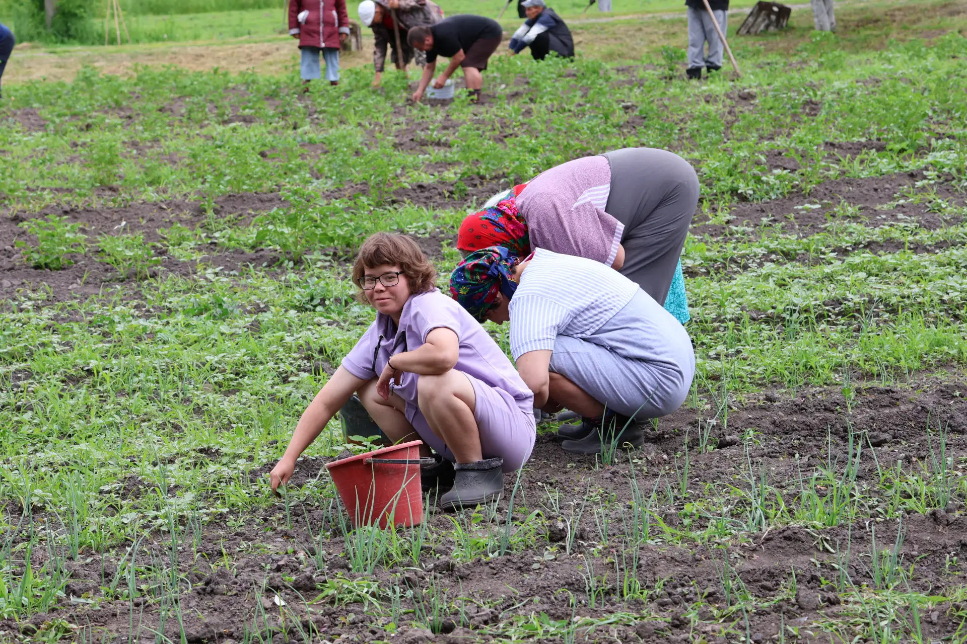 👥Получатели социальных услуг дружно взялись за работу на огороде. 🥕🥔Сегодня они зани...