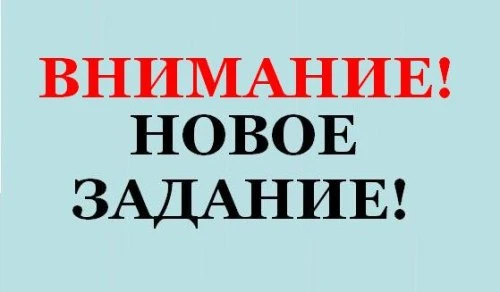 Наш "космический" квест набирает обороты🪐