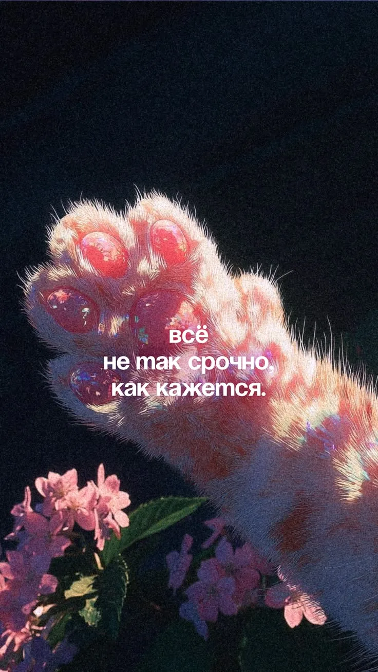 https://max.ru/invista123456