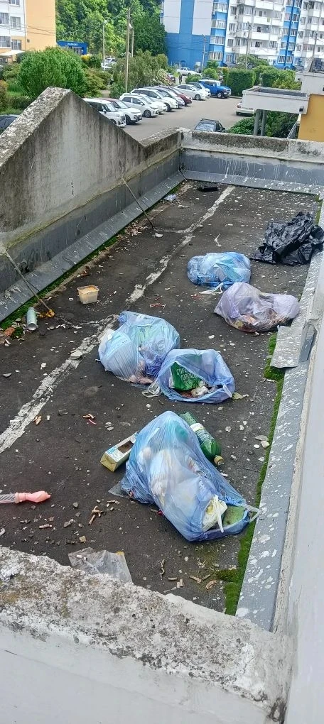 В третьем подъезде в доме№3 по улице Малышева  кто то выбрасывает мусор на козырёк входной группы! О