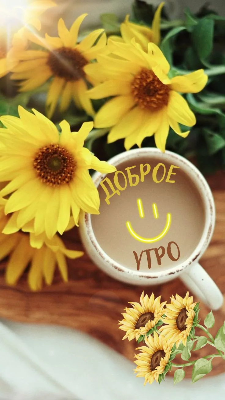 #утро
Картинки на каждый день