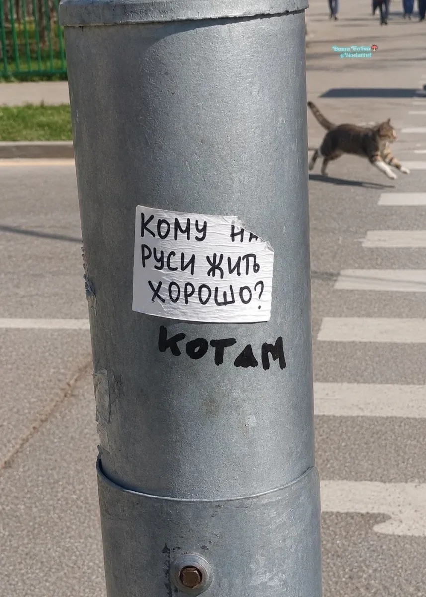 Эт дааа🤗