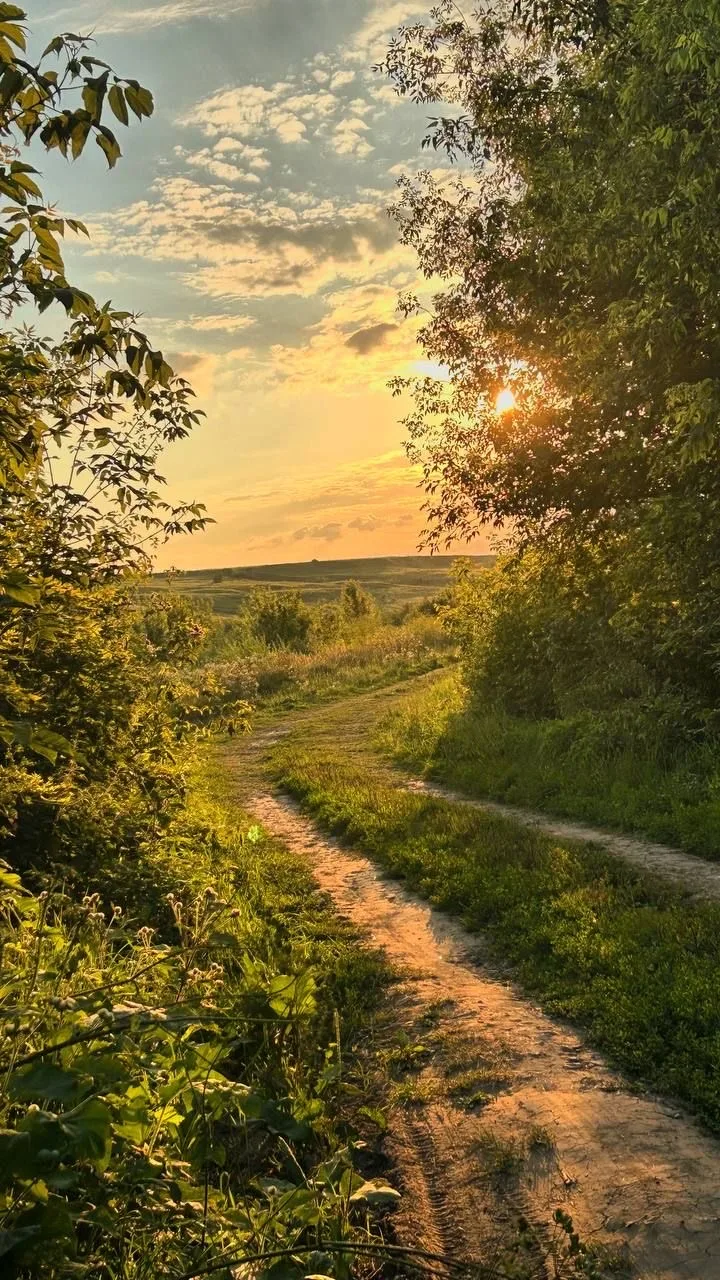 Хорошечно… такая атмосфера на этих фотках (взято с Пинтерест)🥰