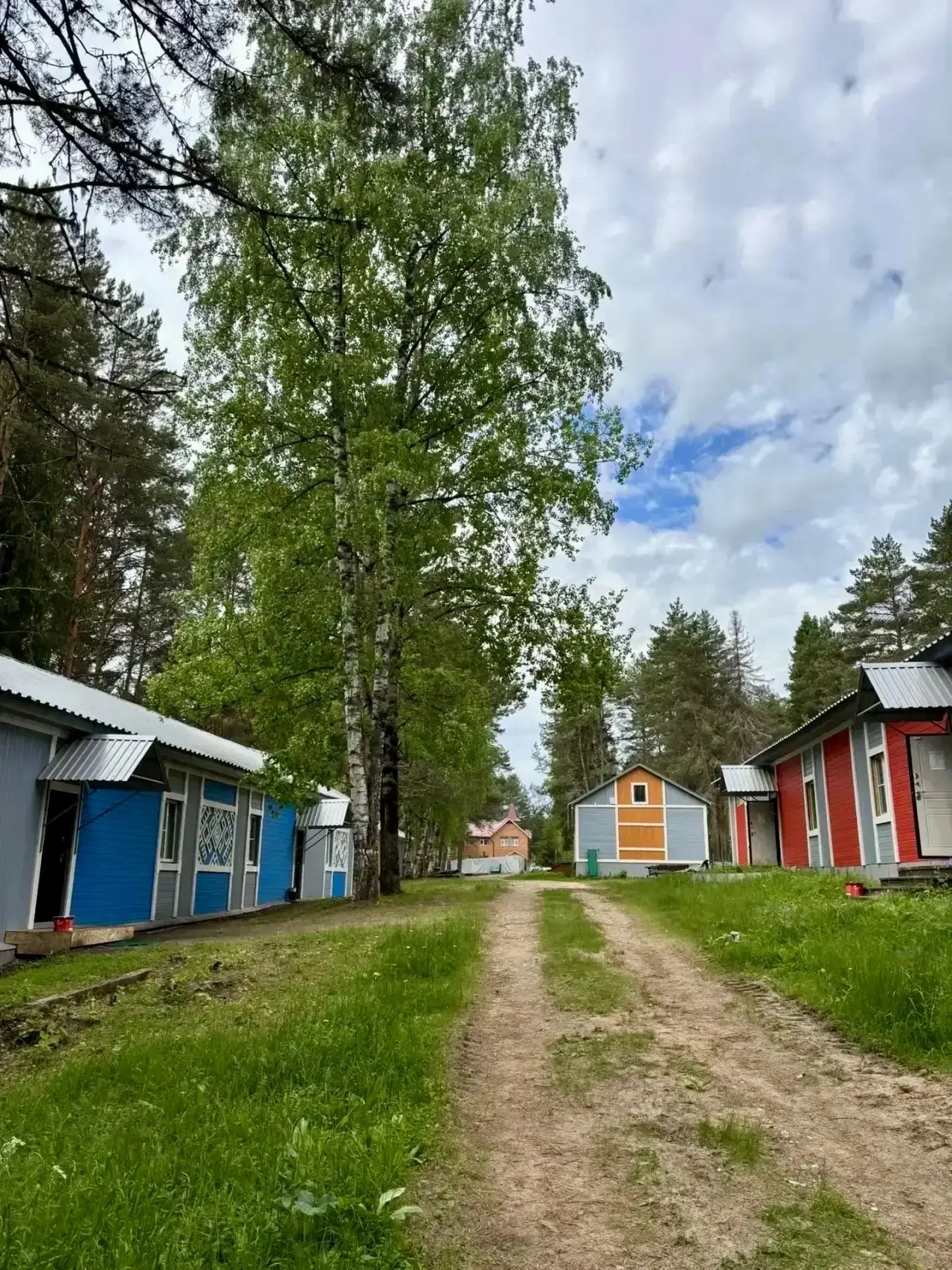 Что делает летний отдых на природе незабываемым?✨