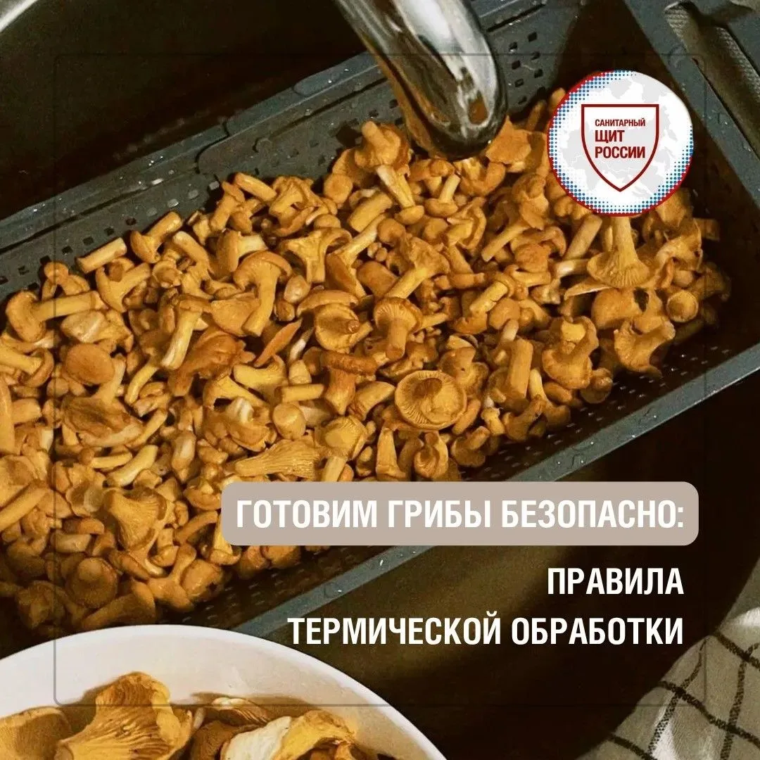 Найти и собрать грибы 🍄‍🟫 – только половина дела. Не менее важно правильно их обработ...