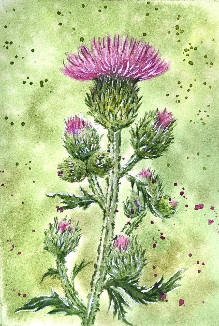 Сочная колючая подборка и бесплатный акварельный завтрак 🌵🌸🎨 

Здесь собрались и яркие кактусы, и