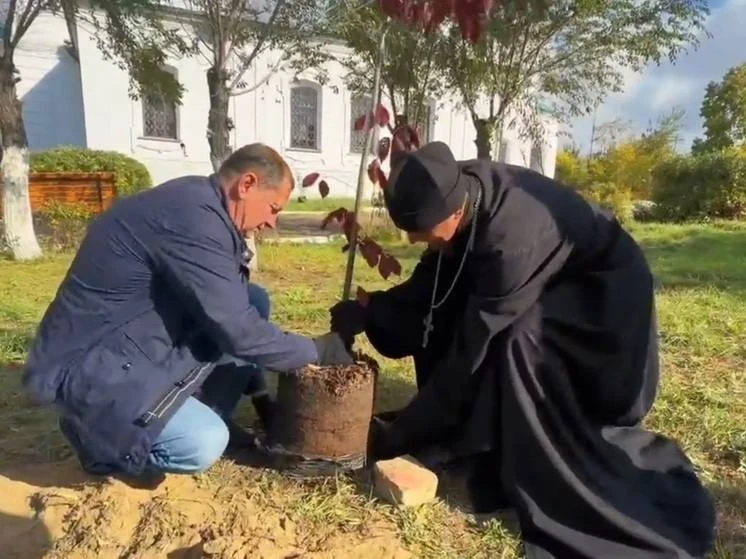 В центре Улан-Удэ высадили 54 новых дерева. Озеленение провели в Городском саду рядом с...