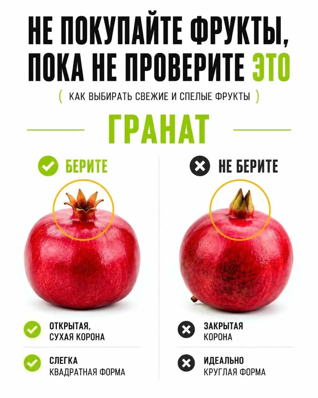 🧑‍🦳Бабушки всегда замечали всё - и погоду, и настроение дня.