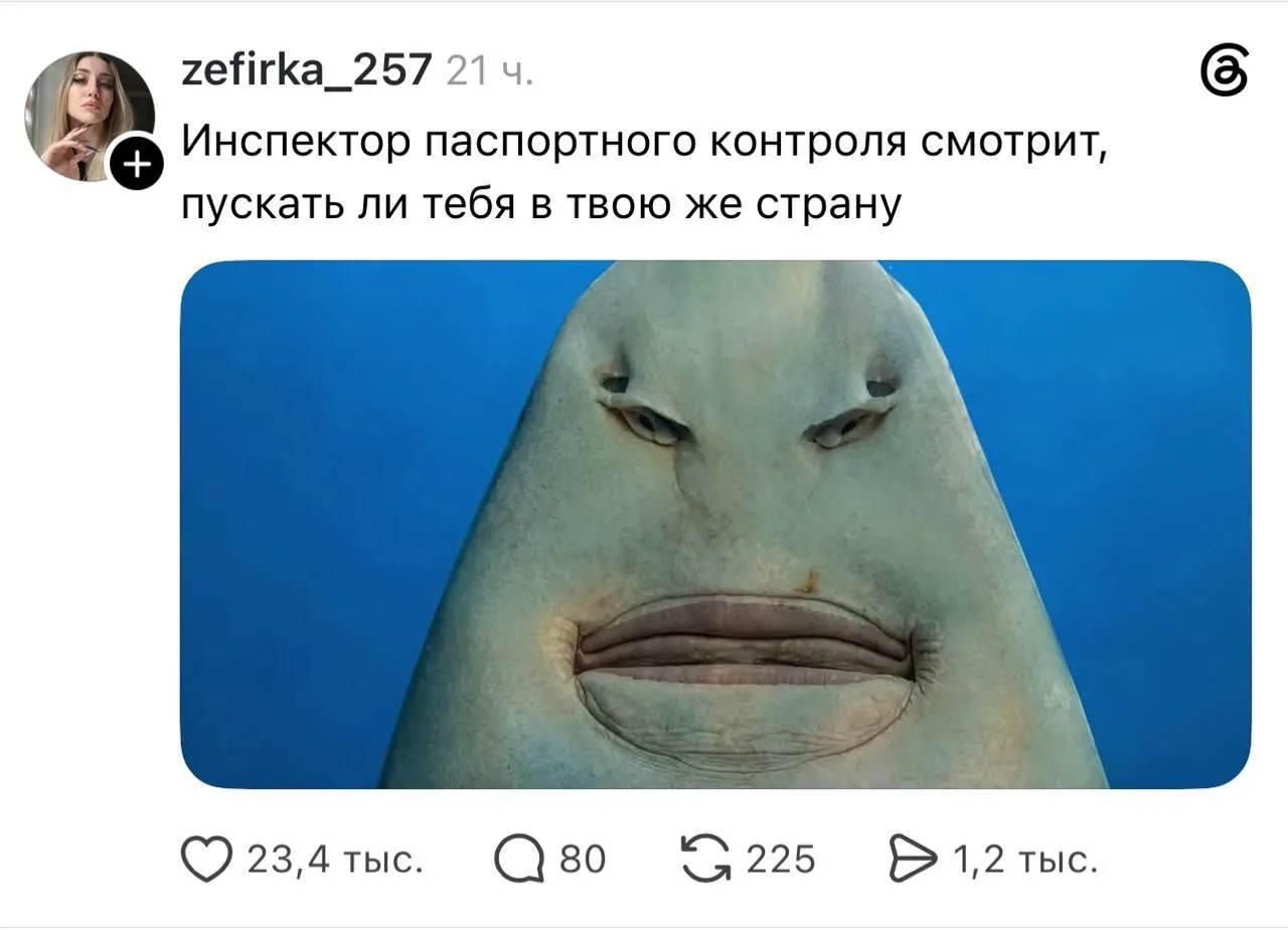 😁 Каждый раз одно и то же

Московская Леди