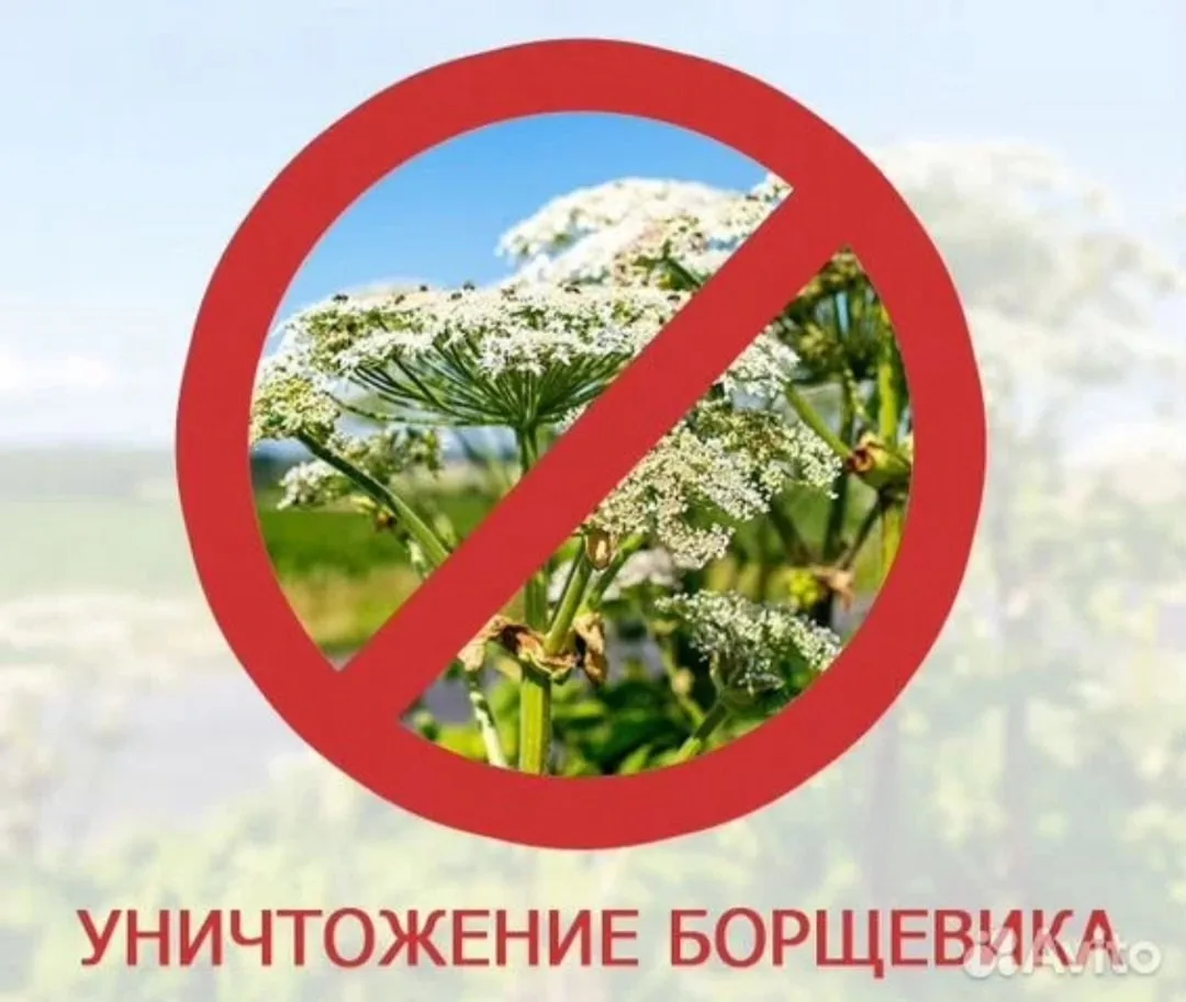 📢 ОБЪЯВЛЕНИЕ!!!!!!