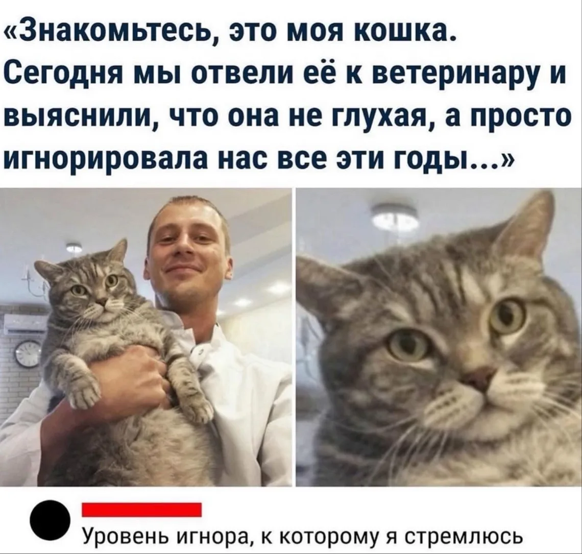 Дурилка картонная