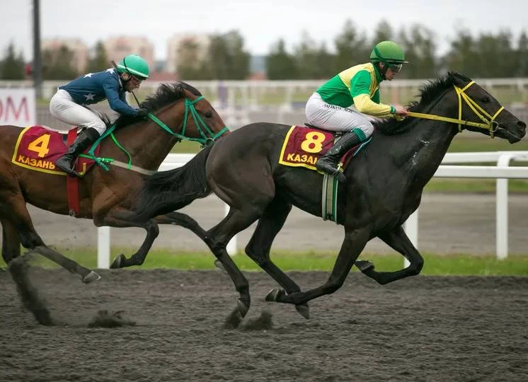 🏇19 июньдә 17:00 сәгатьтә Казан ипподромы территориясендә Сабантуйның ат чабышлары узачак. 

Кунакл