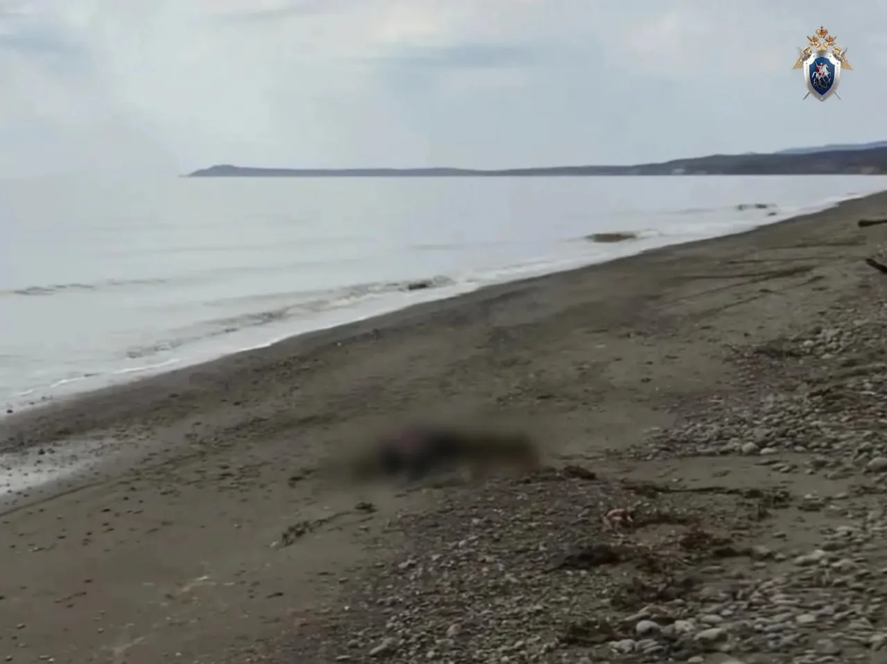 ⚡️ Тело мужчины нашли на берегу залива Терпения  Следователи на Сахалине выясняют обстоятельства сме
