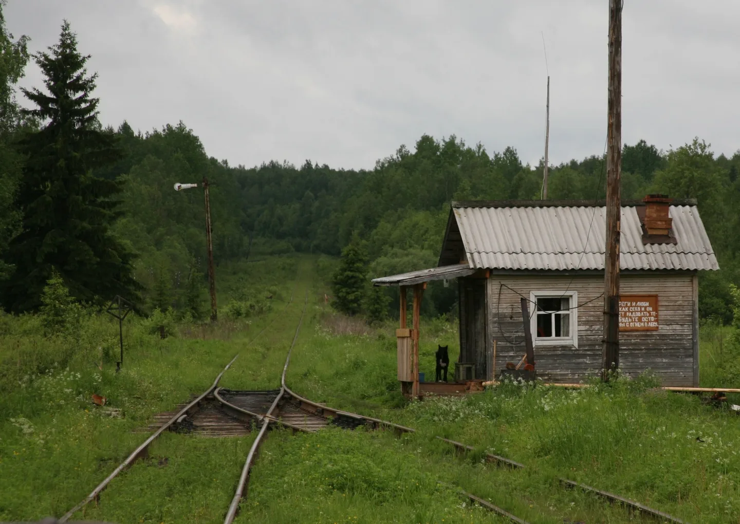 #Заповедник

🛤 Монзенская дорога на границе двух областей

Автор книги «Заповедные железные дороги»
