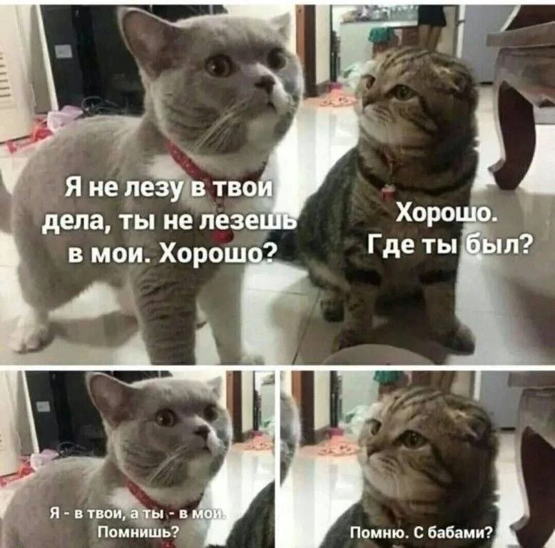 Весёлые анекдоты