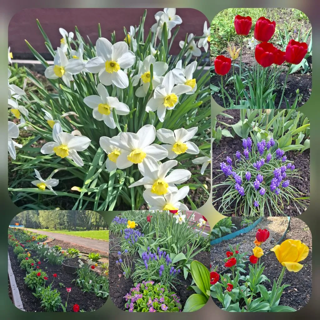 🌷Минутка красоты в повседневности🪻