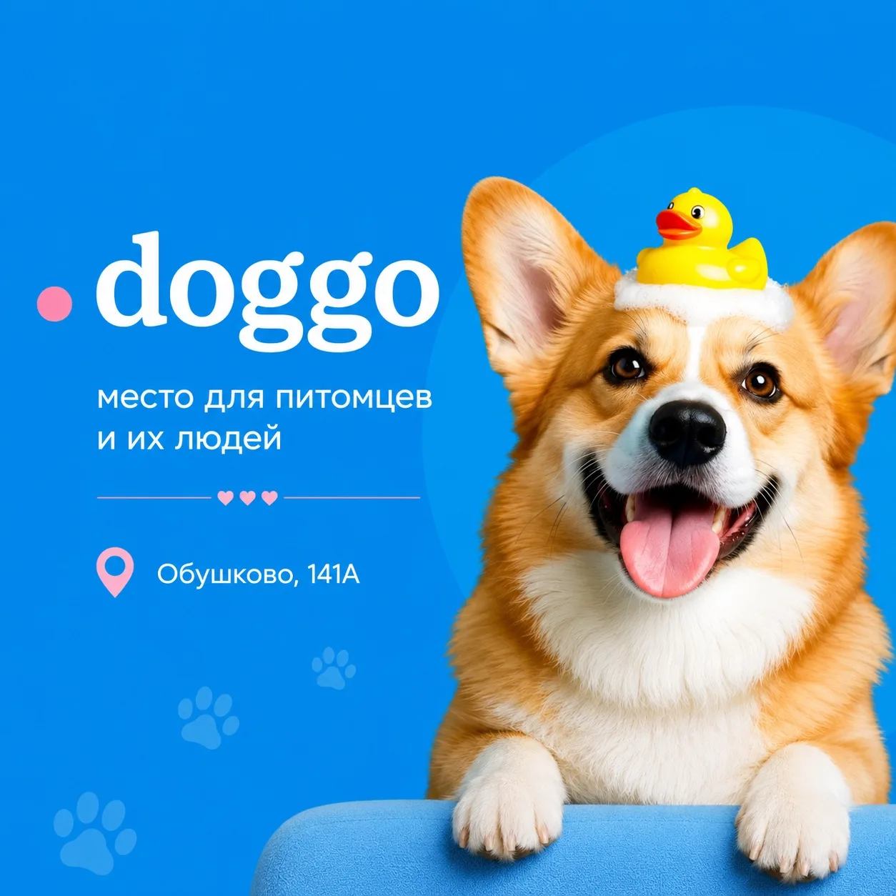 НОВЫЙ ПАРТНЁР КОМЬЮНИТИ - DOGGO (премиальный груминг, детский сад и зоогостиница) 

Постоянная скидк