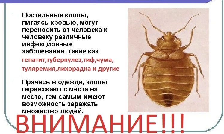 ЗВОНИТЕ: