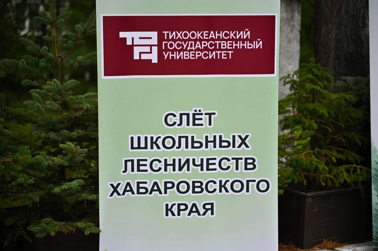 Отличные новости с XI Слета школьных лесничеств в Хабаровском крае!