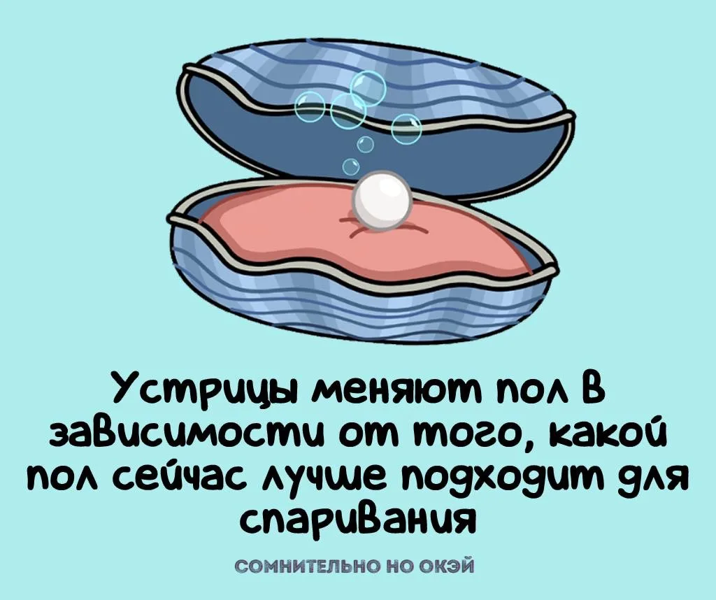 Признавайтесь, знали?