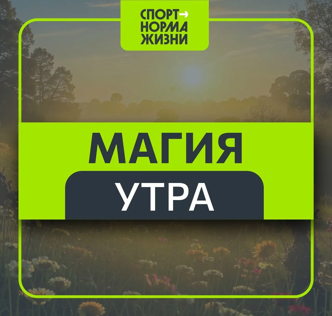 ☀️«ЗДОРОВЫЙ ОБРАЗ ЖИЗНИ»: УТРО, КОТОРОЕ МЕНЯЕТ ДЕНЬ