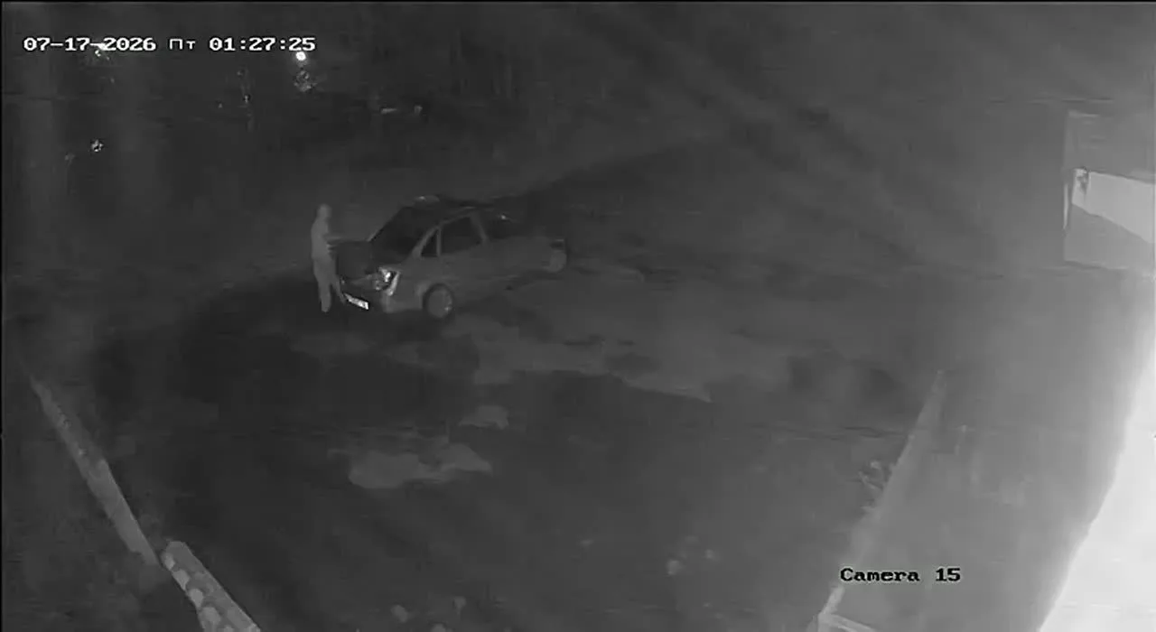 Житель Озёрска утащил тротуарную плитку с улицы на пр. Карла Маркса