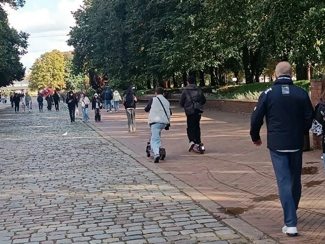 Битва с СИМ выходит на новый уровень: для самокатчиков хотят ввести права