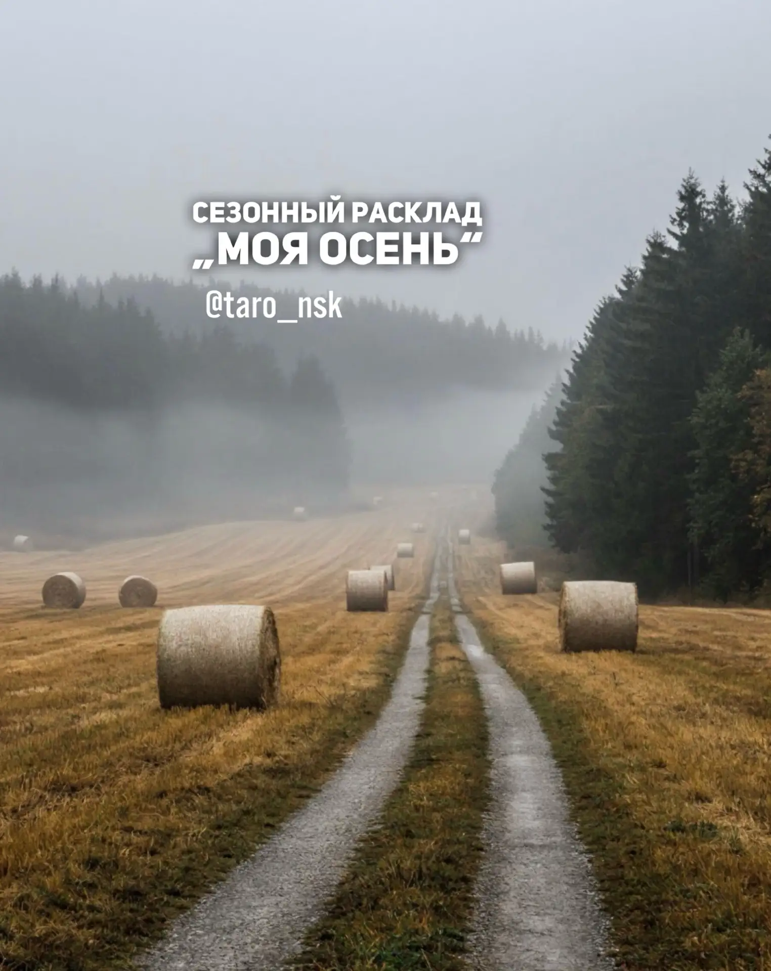 Запись на особый сезонный расклад🍂