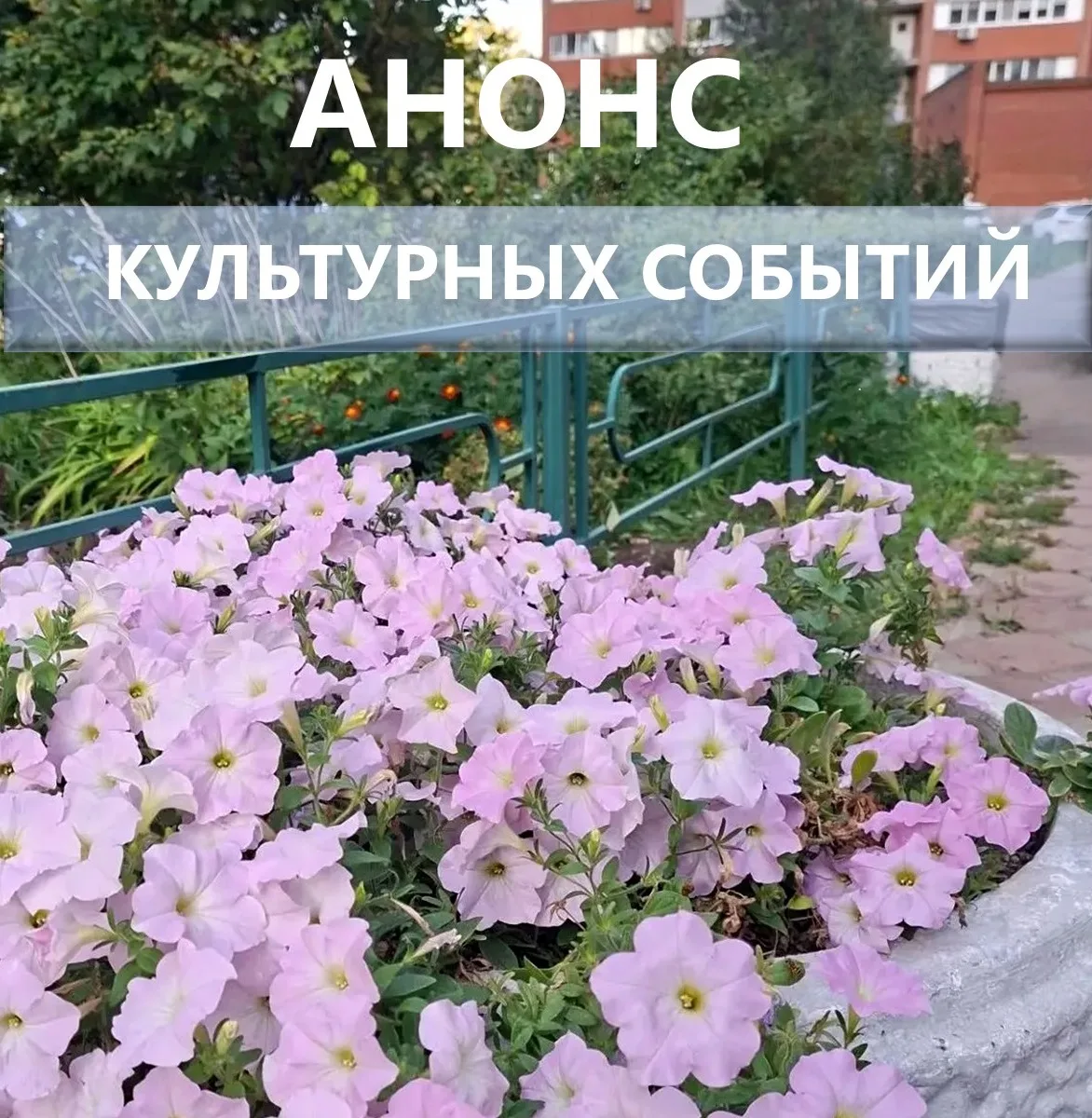 📣 Что посетить в Самарской области на это неделе? Топ-5 культурных событий: