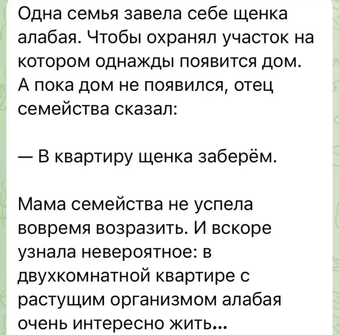 На днях меня хотели кинуть на деньги. Я опешила. Сначала даже не поняла, что нужно делать, пошла сов