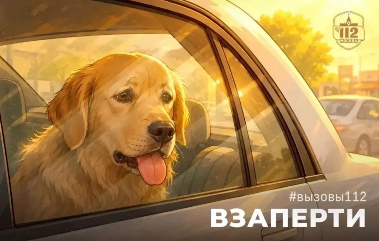 Управление по ЗелАО Департамента ГОЧСиПБ 
 
👲☝ Ежегодно с наступлением жарких летних дней операторы