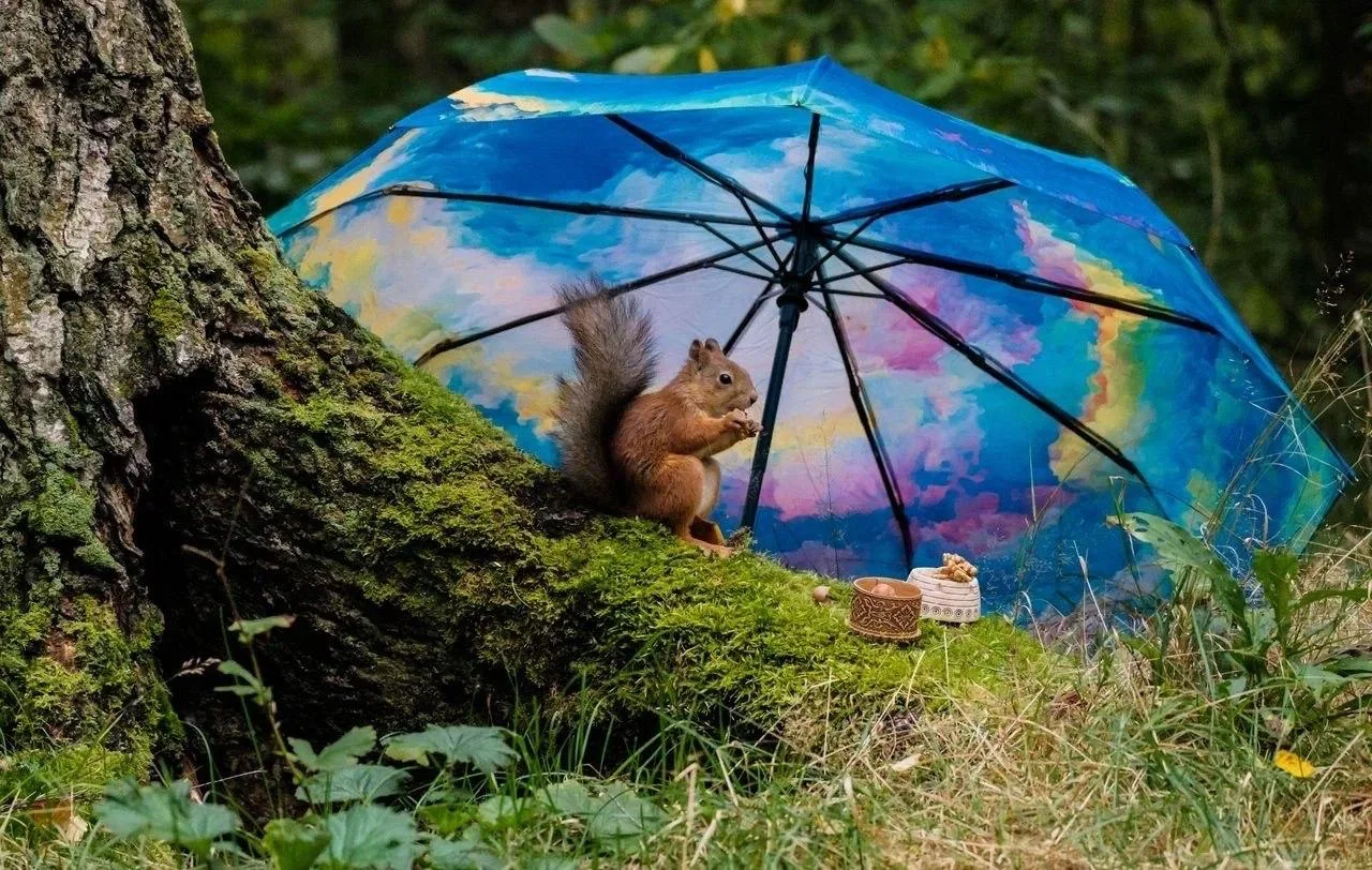 🐿 ☔️ Дождик — не повод откладывать приятные моменты. Вот и белочка из Сосновки не отка...
