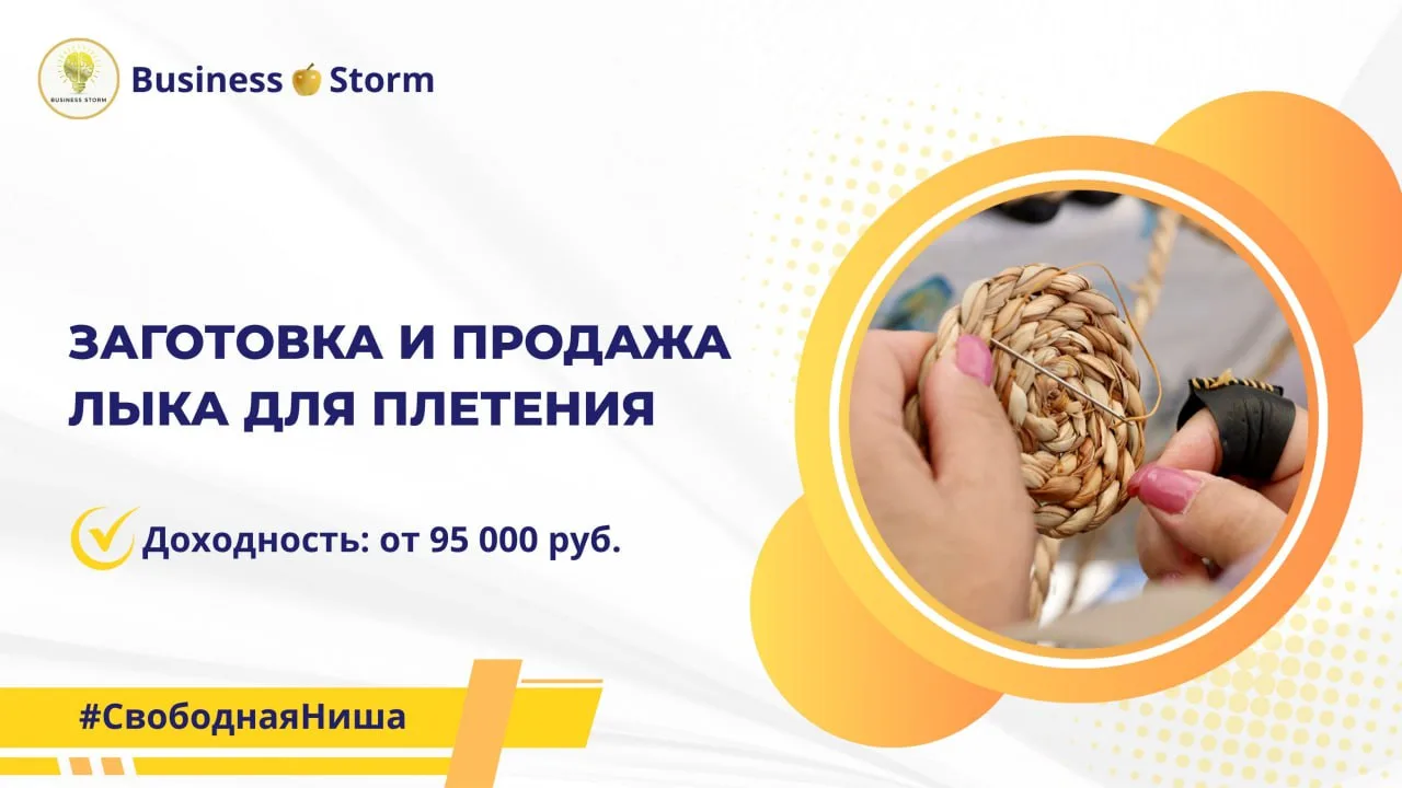 Заготовка и продажа лыка для плетения