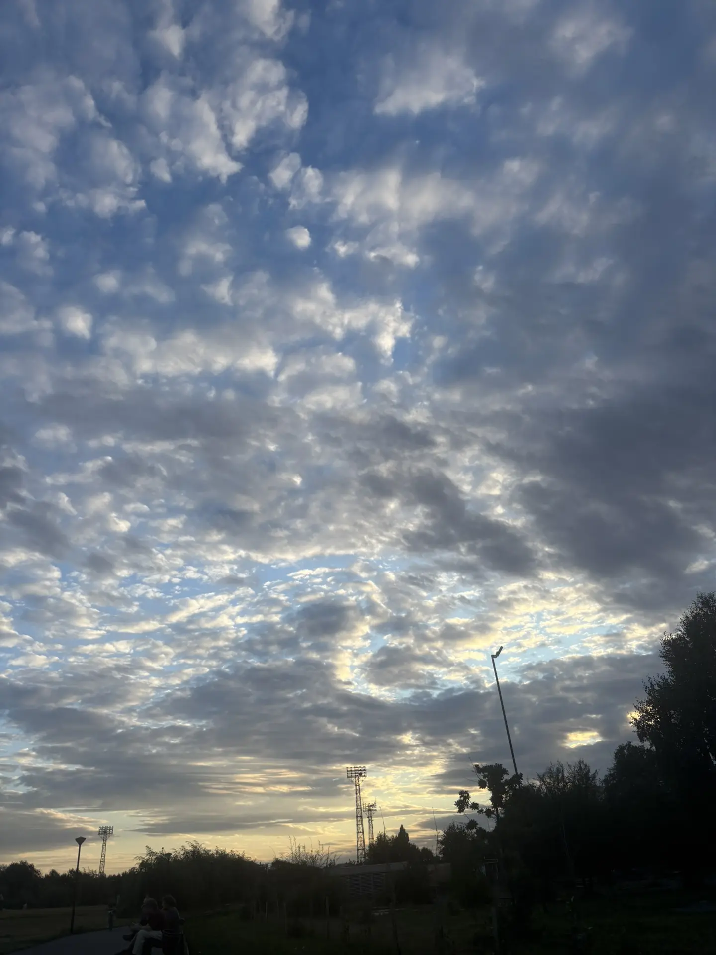 Очень красивое небо в городском парке😍