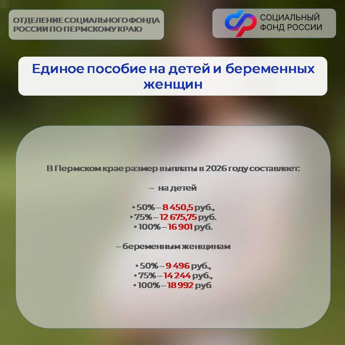 ✅С 1 января 2026 года в Пермском крае установлен новый прожиточный минимум, влияющий на размер детск